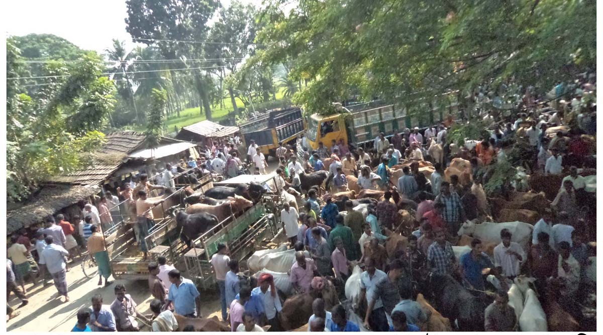 কেশবপুর পশুহাটঃ প্রধান সড়কে তীব্র যানজট ॥ কর্তৃপক্ষ নির্বিকার