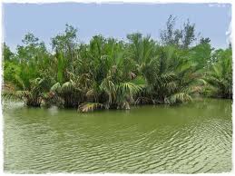 জীব বৈচিত্র্য রক্ষা করা আবশ্যক