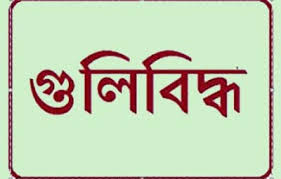 রাজধানীর আজিমপুরে সন্ত্রাসীদের গুলিতে দুই ভাই আহত