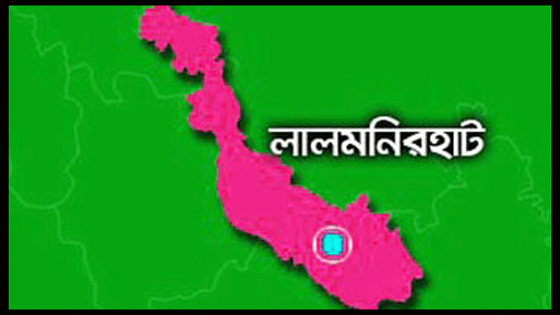 পিকআপ ভ্যানের চাপায় ২ জন নিহত